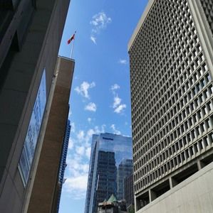 Meet your Posher, Alan